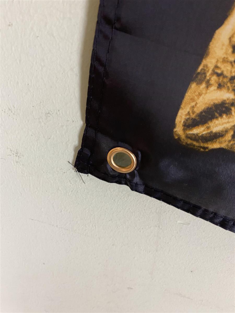 1x Ficken Likör Fahne Goldrahmen 150 x 100 – Ansicht 4