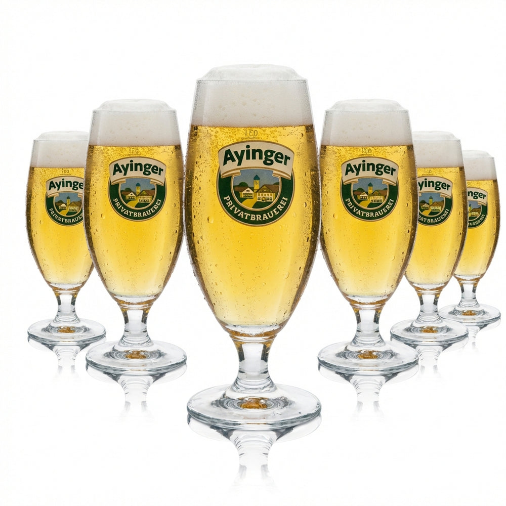 6x Ayinger Bier Glas 0,3l Tulpe Ritzenhoff