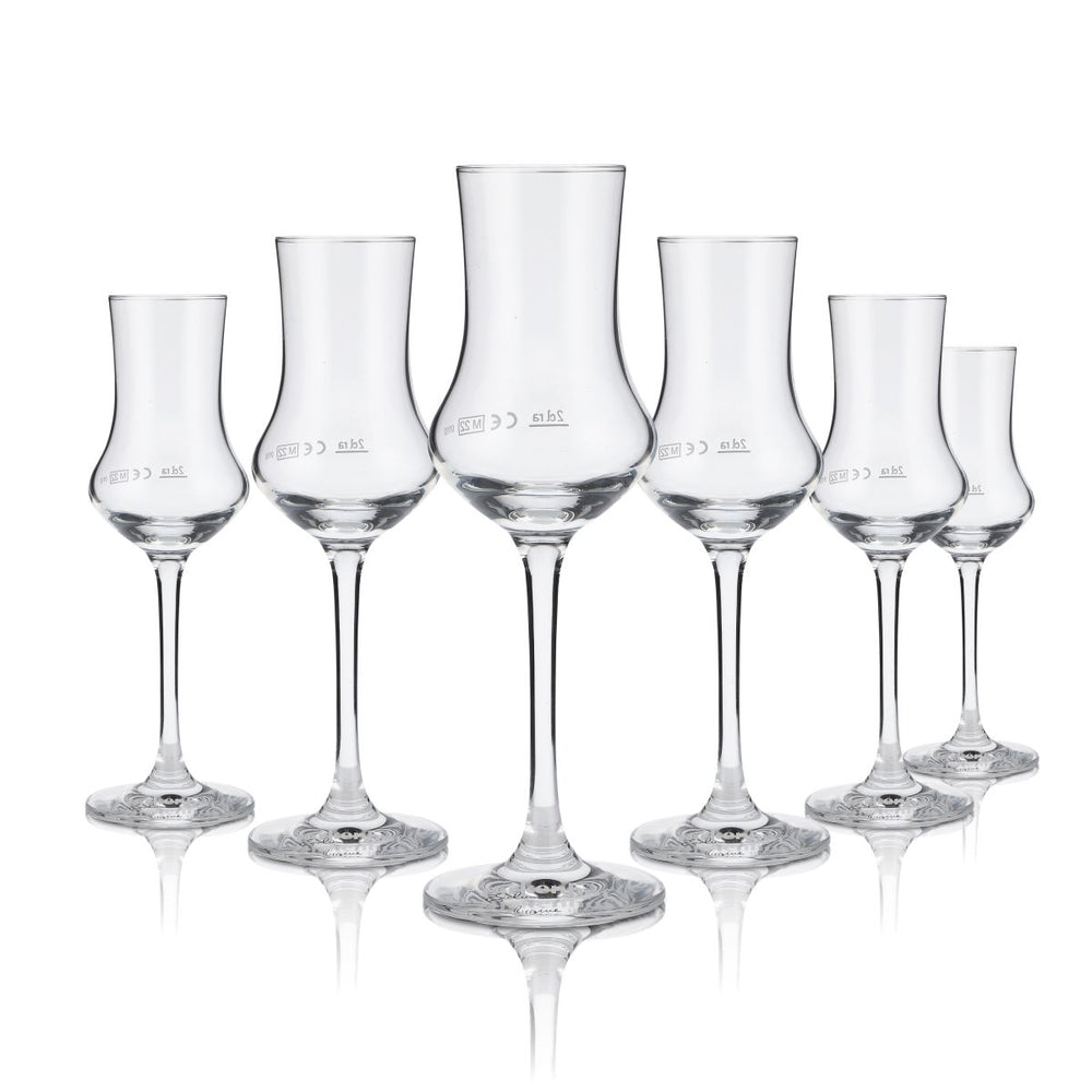 6x Birkenhof Brennerei Glas 2cl Nosing Tasting Glas Grappaglas Schwenker