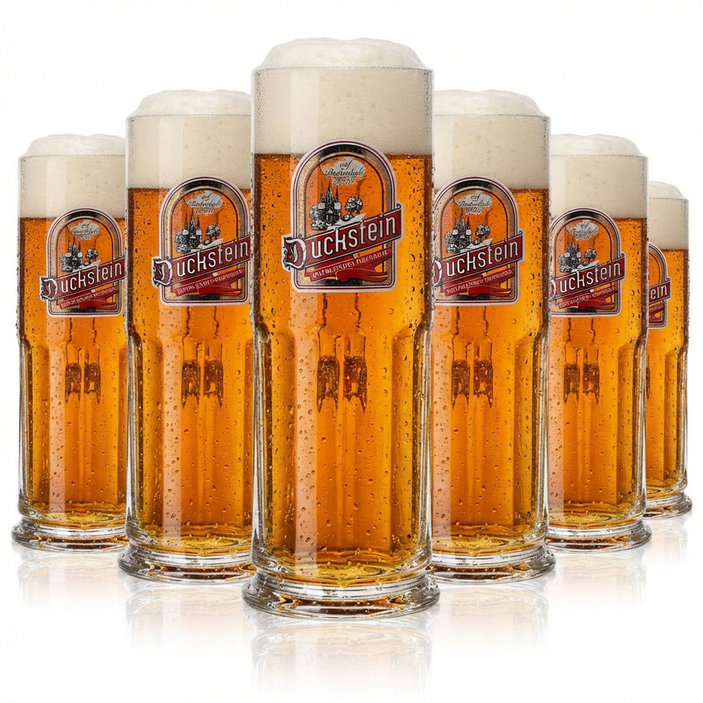 6x Duckstein Bier Glas 0,3l Krug "Rotblondes Oberbräu" Sahm Maximilian Seidel