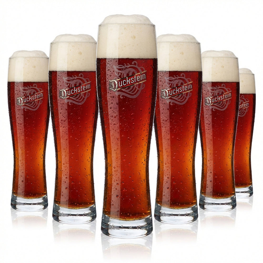6x Duckstein Bier Glas 0,5l Weizenglas Biergläser mit Silberrand
