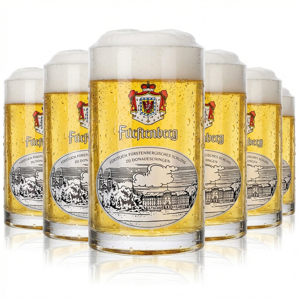 6x Fürstenberg Bierglas Gläser 0,25l Krug "Fürstenbergisches Schloss" Glückauf