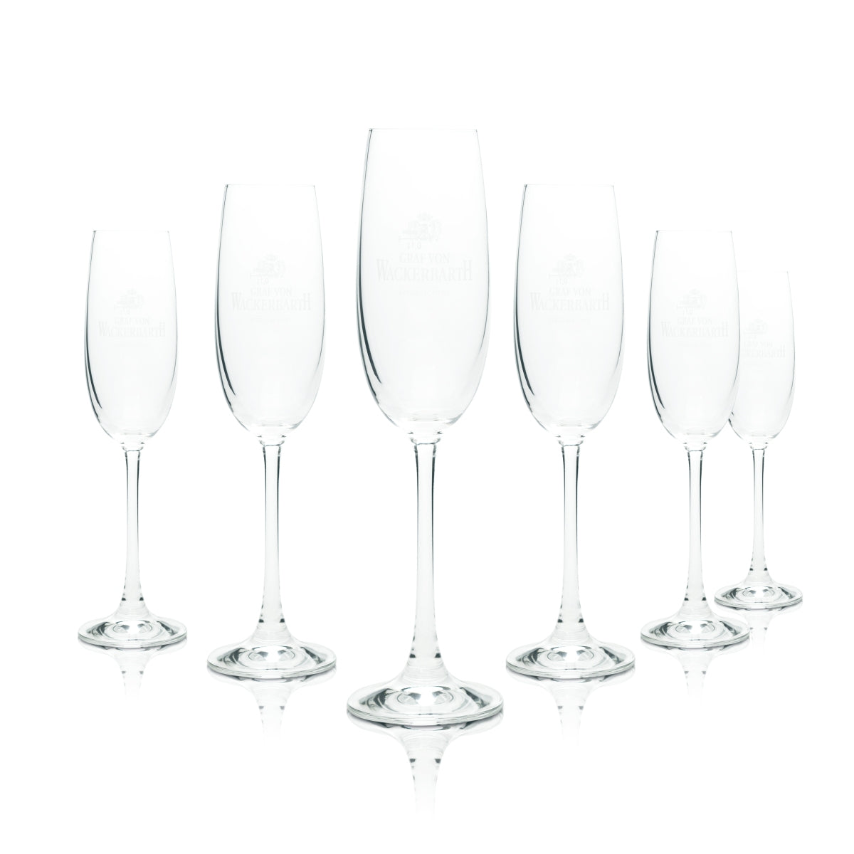 6x Graf von Wackerbarth Sekt Glas Flöte 0,1l Mäser Schloss Prosecco Gläser Flute