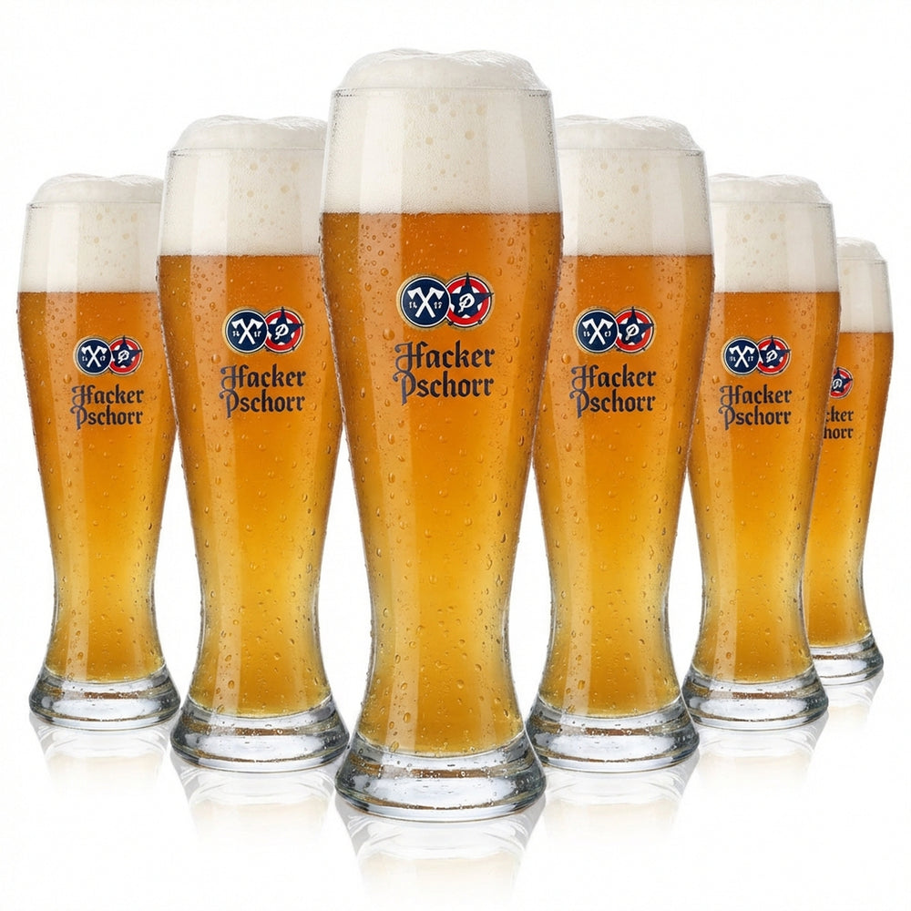 6x Hacker Pschorr Bier Glas 0,5l Weißbierglas "Spitzingsee"-Design Rastal