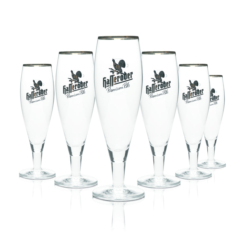 6x Hasseröder Bier Glas 0,3l Pokal Tulpe Kelch Allegro Goldrand Gläser Gastro