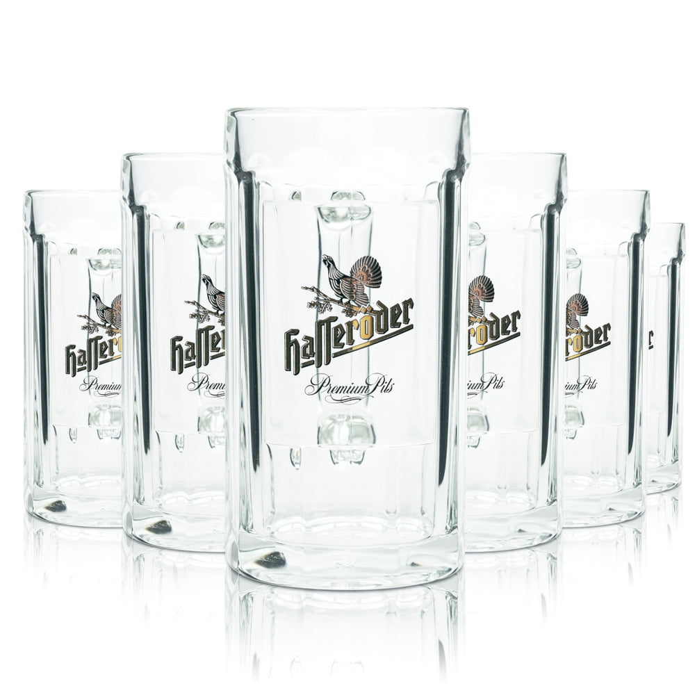 6x Hasseröder Bier Glas 0,5l Krug Sahm Seidel Henkel Gläser Humpen Pils Krüge