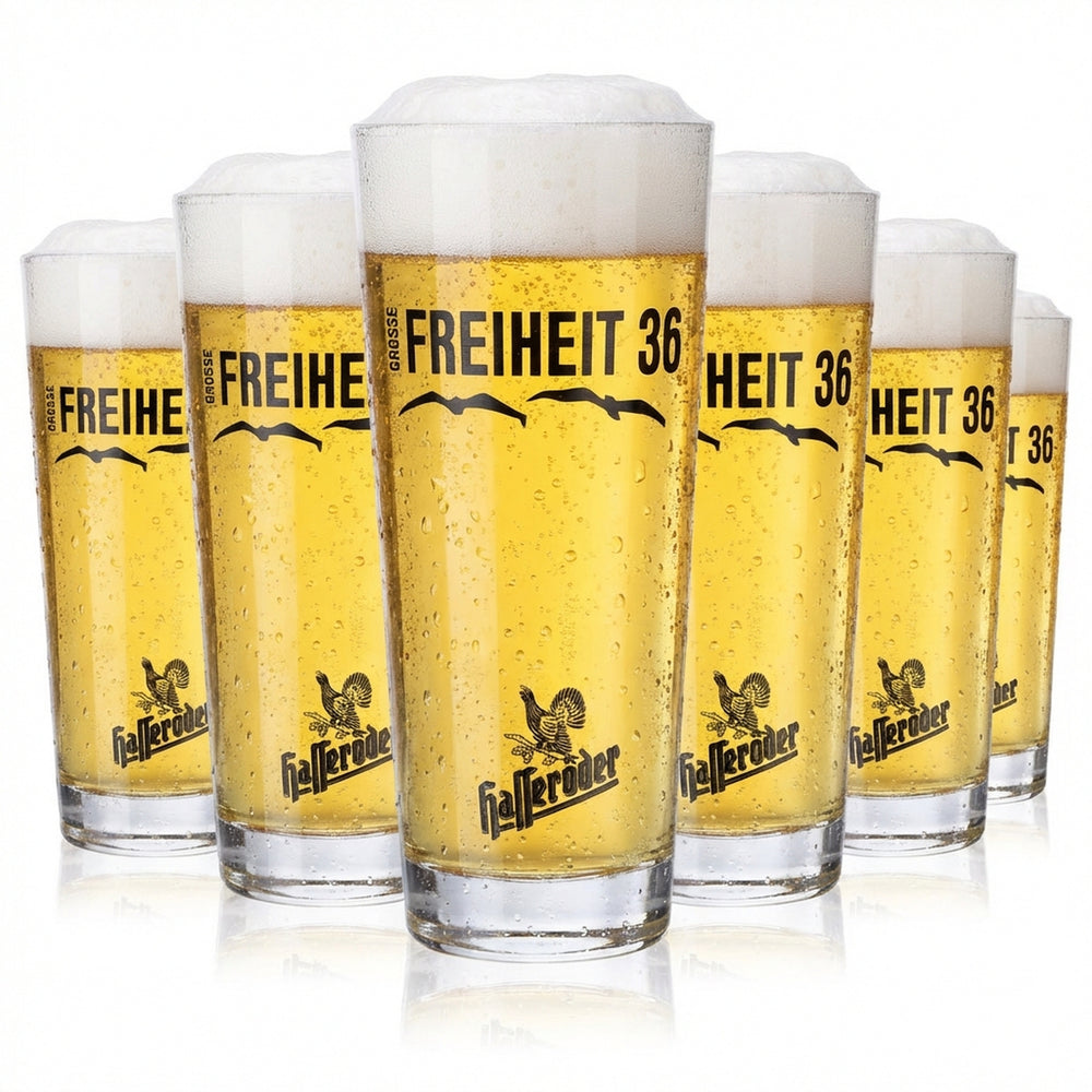 6x Hasseröder Bier Glas Gläser Bierglas 0,3l Willibecher Große Freiheit 36