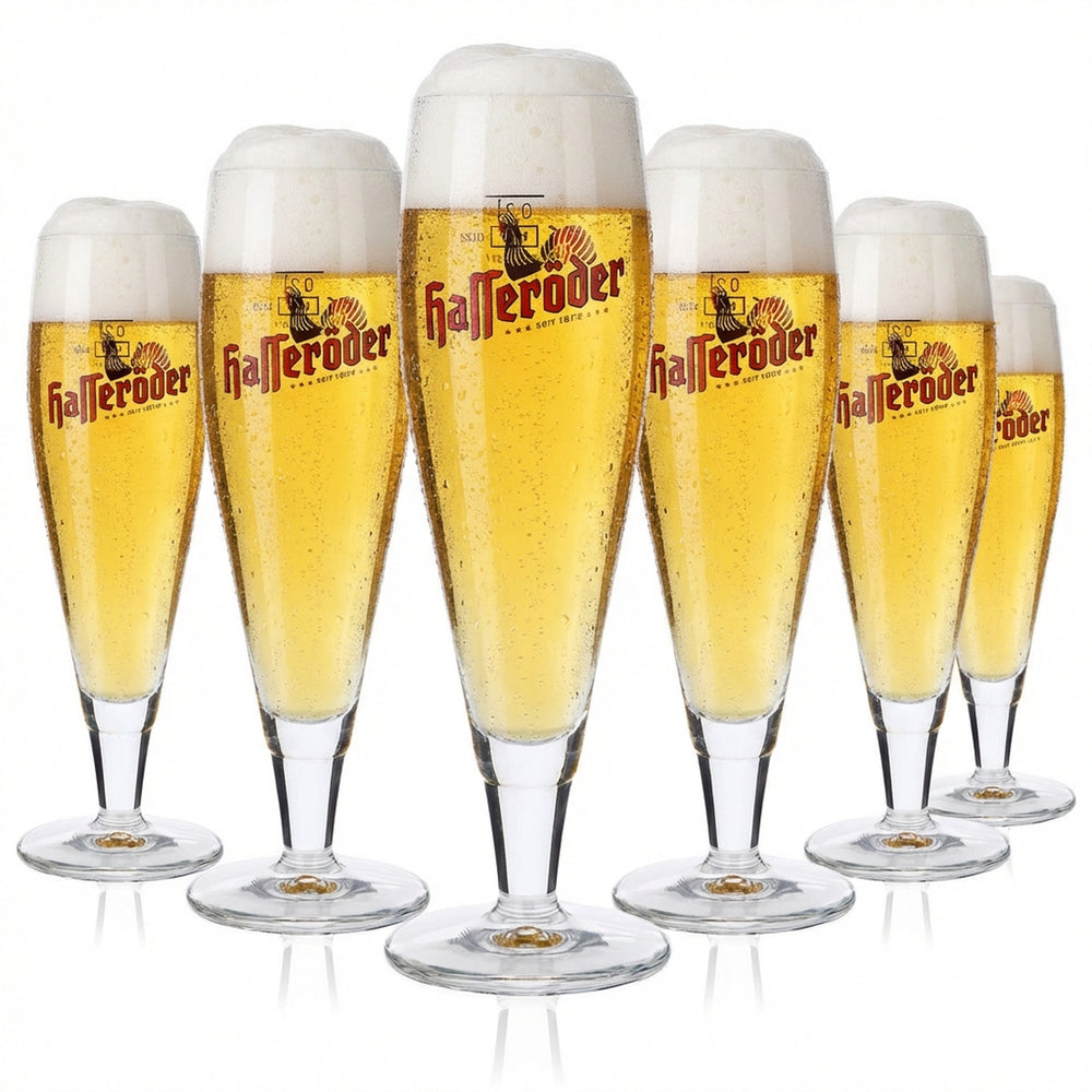 6x Hasseröder Bier Glas Pokalgläser 0,2l Biergläser Ritzenhoff Alegro Pokal
