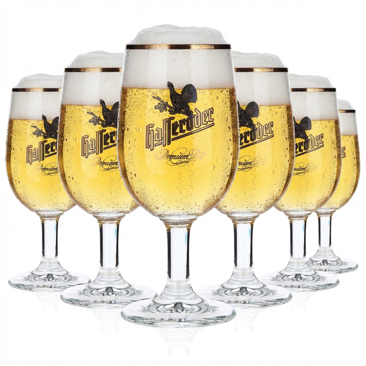 6x Hasseröder Bier Glas Pokalgläser 0,2l Goldrand "Premium Pils" Ritzenhoff
