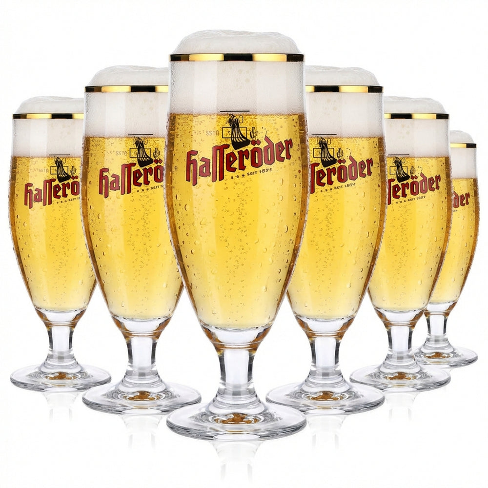 6x Hasseröder Bierglas Biergläser 0,2l Pokalgläser bauchig Goldrand