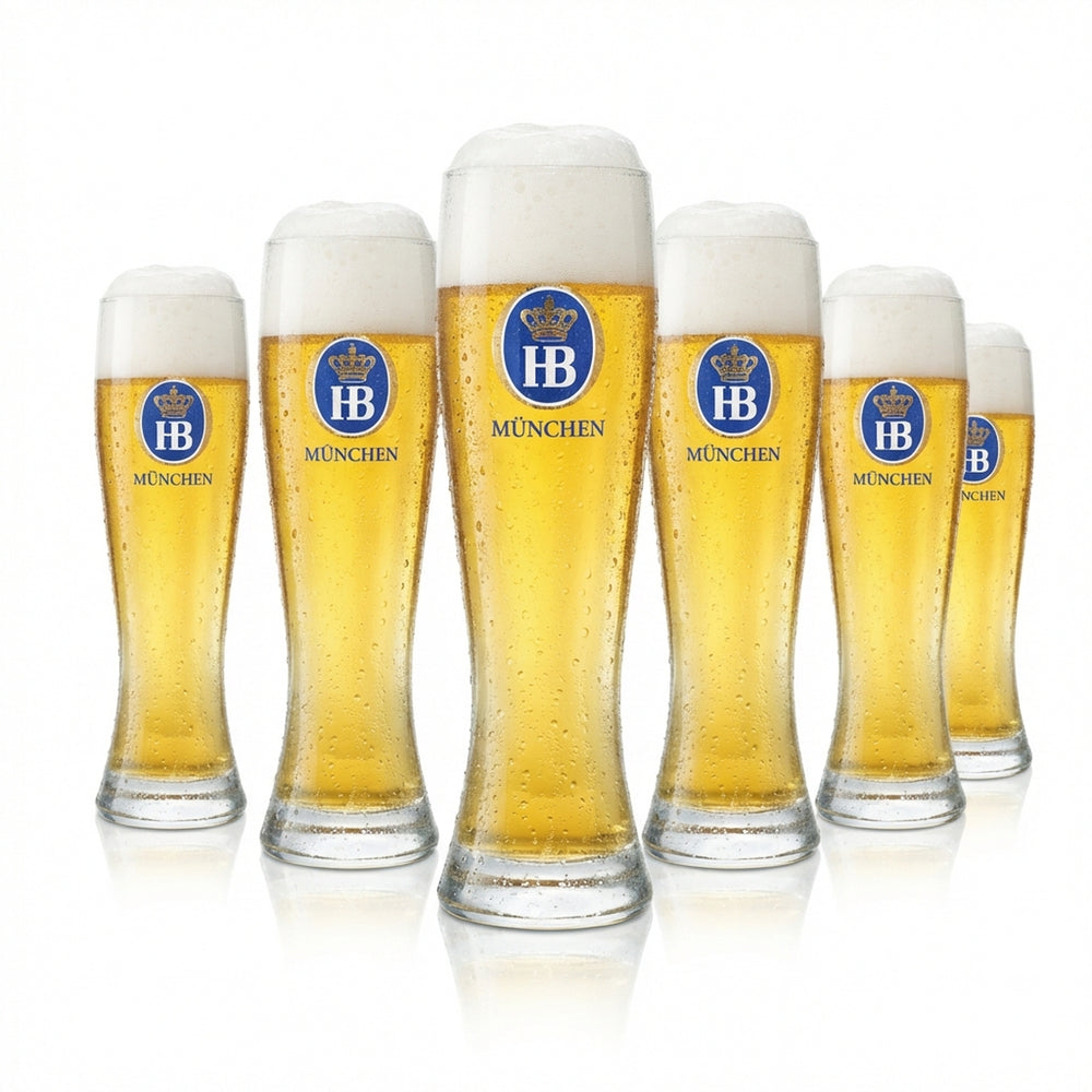 6x Hofbräu München Bier Glas 0,5l Hefe Weißbier Weizen Elegant Frosted Gläser