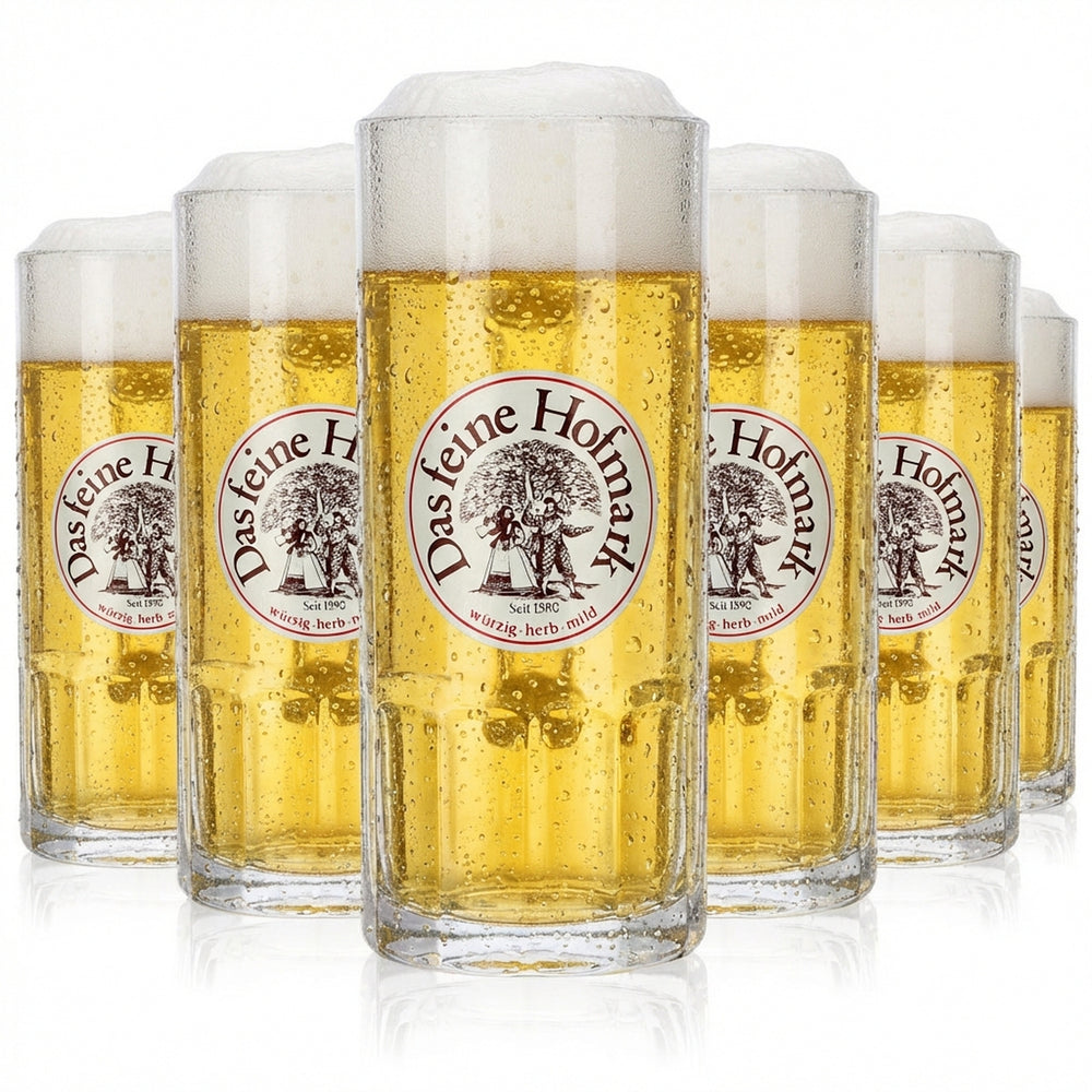 6x Hofmark Glas 0,3l Bierkrug Das feine Hofmark Humpen Seidel GläserSet Brauerei