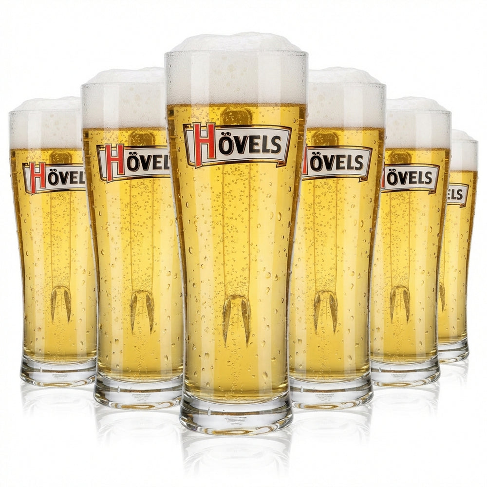 6x Hövels Bier Glas 0,5l Bierkrug Bierseidel Bierhumpen Aspen