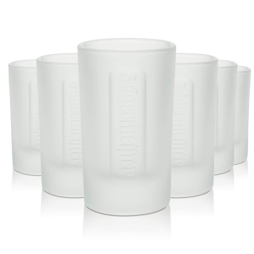 6x Jägermeister Shotglas 4cl Kurze Stamper Schnaps Gläser Frosted Geeicht Gastro