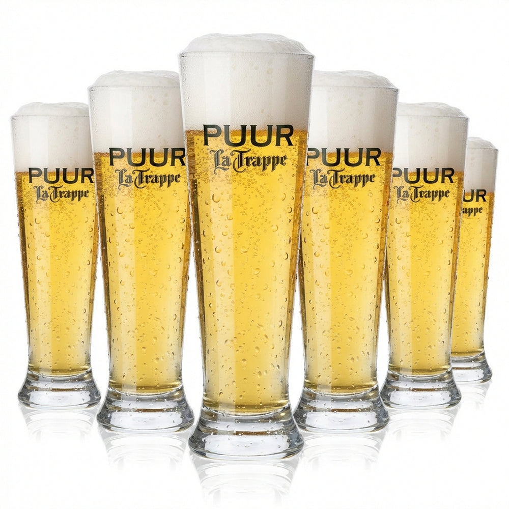 6x La Trappe Bier Glas Biergläser 0,3l Bierglas Becher / Pokal PUUR