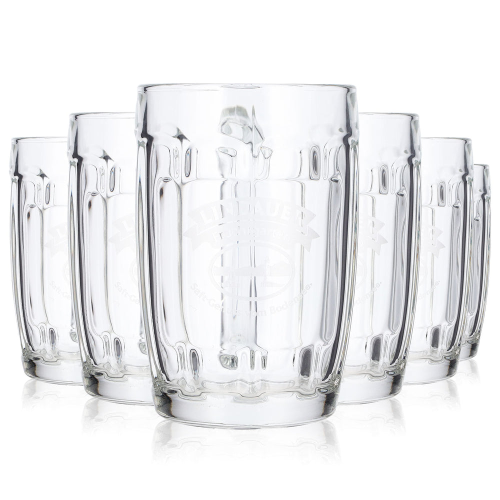 6x Lindauer Saft Glas 0,3l Krug Fruchtgarten Rastal Saftglas Trinkglas