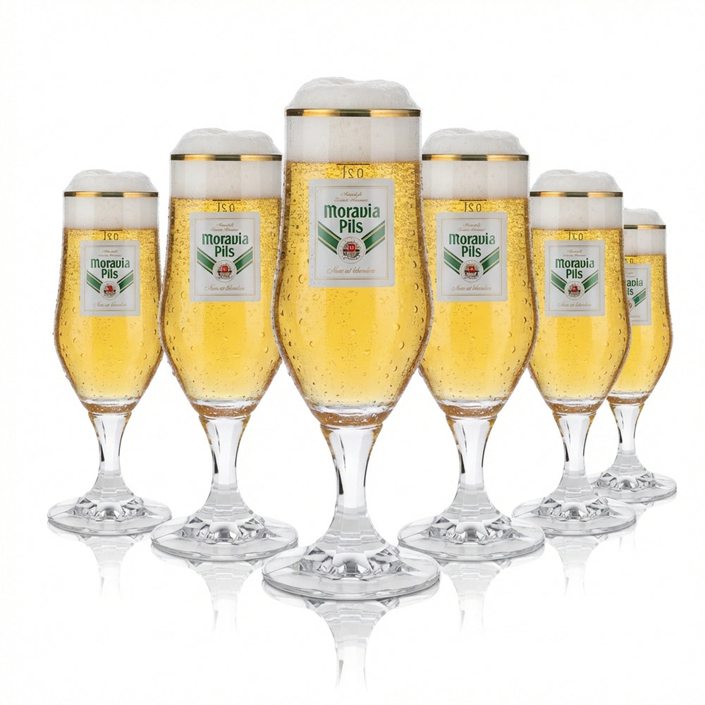6x Moravia Bierglas 0,2l Pokalglas Goldrand Hopfenperle Pils Gläser Set Brauerei