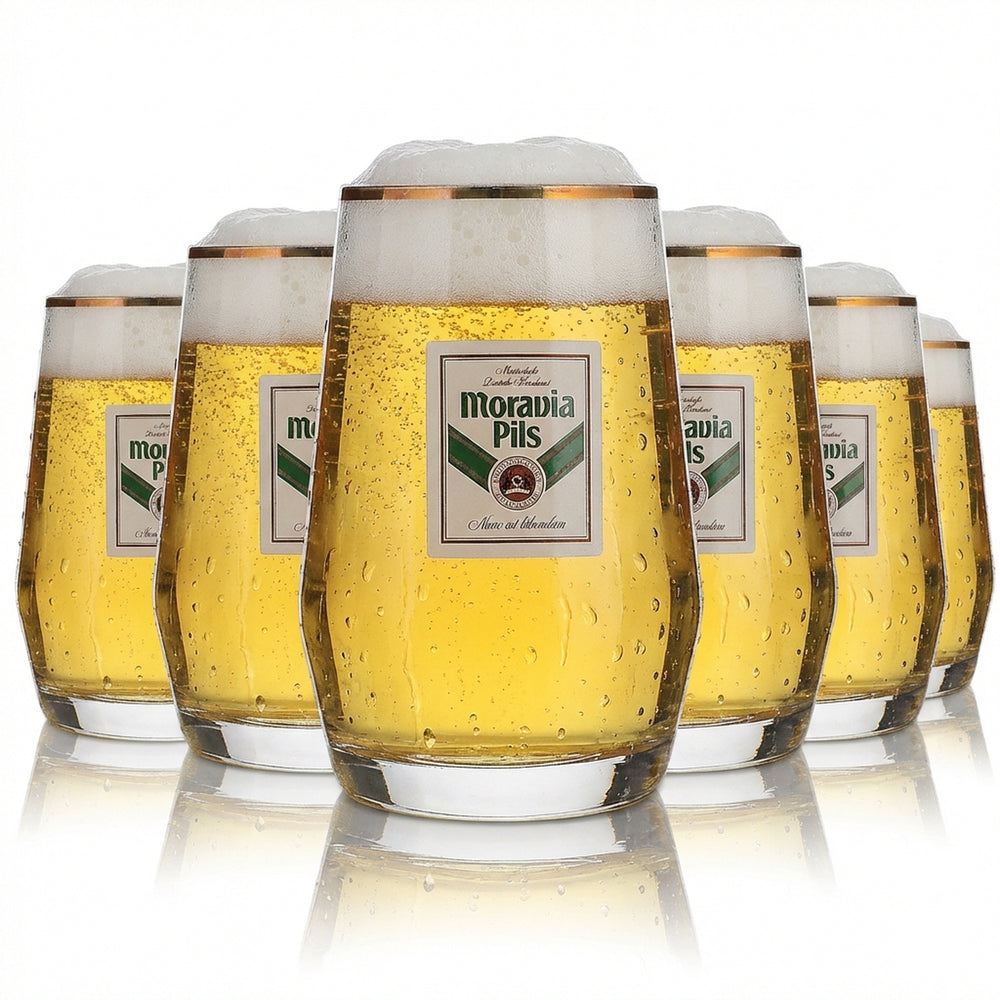 6x Moravia Glas 0,3l Bierkrug Goldrand Höhr Grenzhausen Gläser Set Brauerei