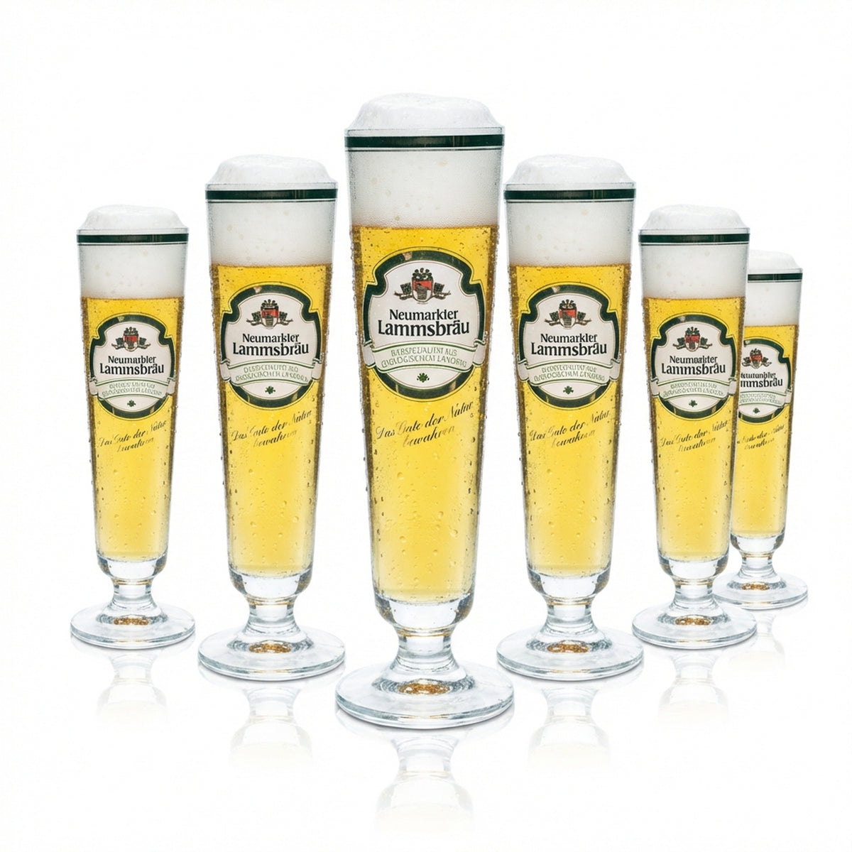 6x Neumarkter Lammsbräu Bier Glas 0,2l Pokal Tulpe Goldrand Gläser Brauerei Bar
