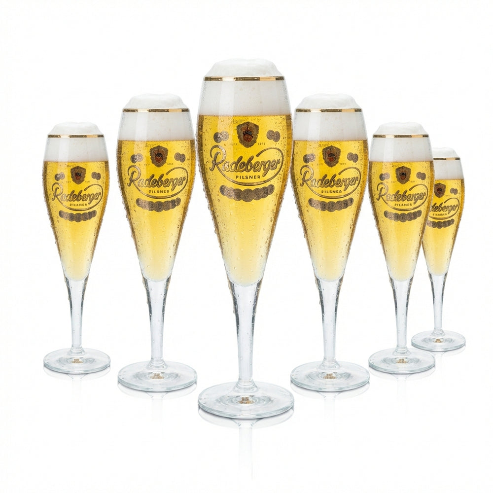 6x Radeberger Bier Glas 0,25l Pokal Tulpe Kupferrand Gläser Gastro Kneipe Pils