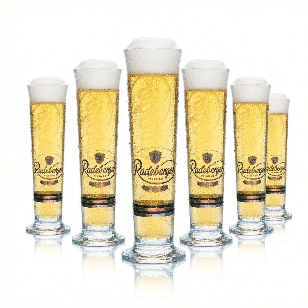 6x Radeberger Bier Glas 0,3l Pokal Stange Tulpe Beer Szene Gläser Pils Gastro