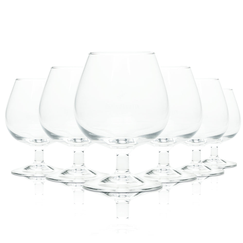 6x Remy Martin Cognac Glas Schwenker Whisky Gläser Nosing Tasting Sommelier
