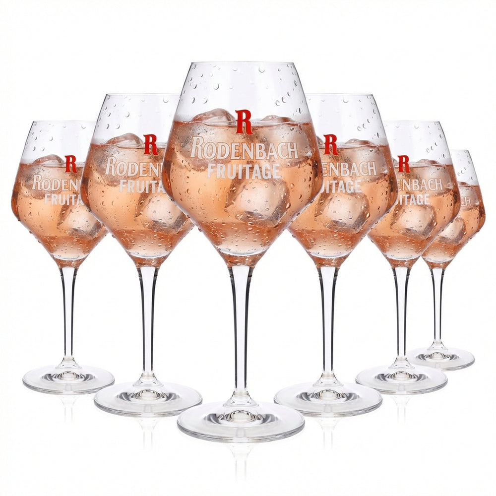 6x Rodenbach Bier Glas 0,25l Ballonglas Biergläser Sommelierglas "Fruitage"