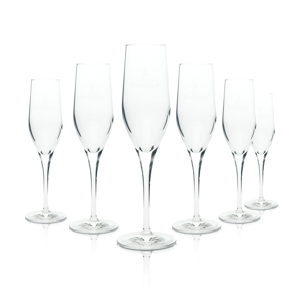 6x Schloß Wackerbarth Sekt Glas 175ml Champagnerflöte Exquisit Gläser Prosecco