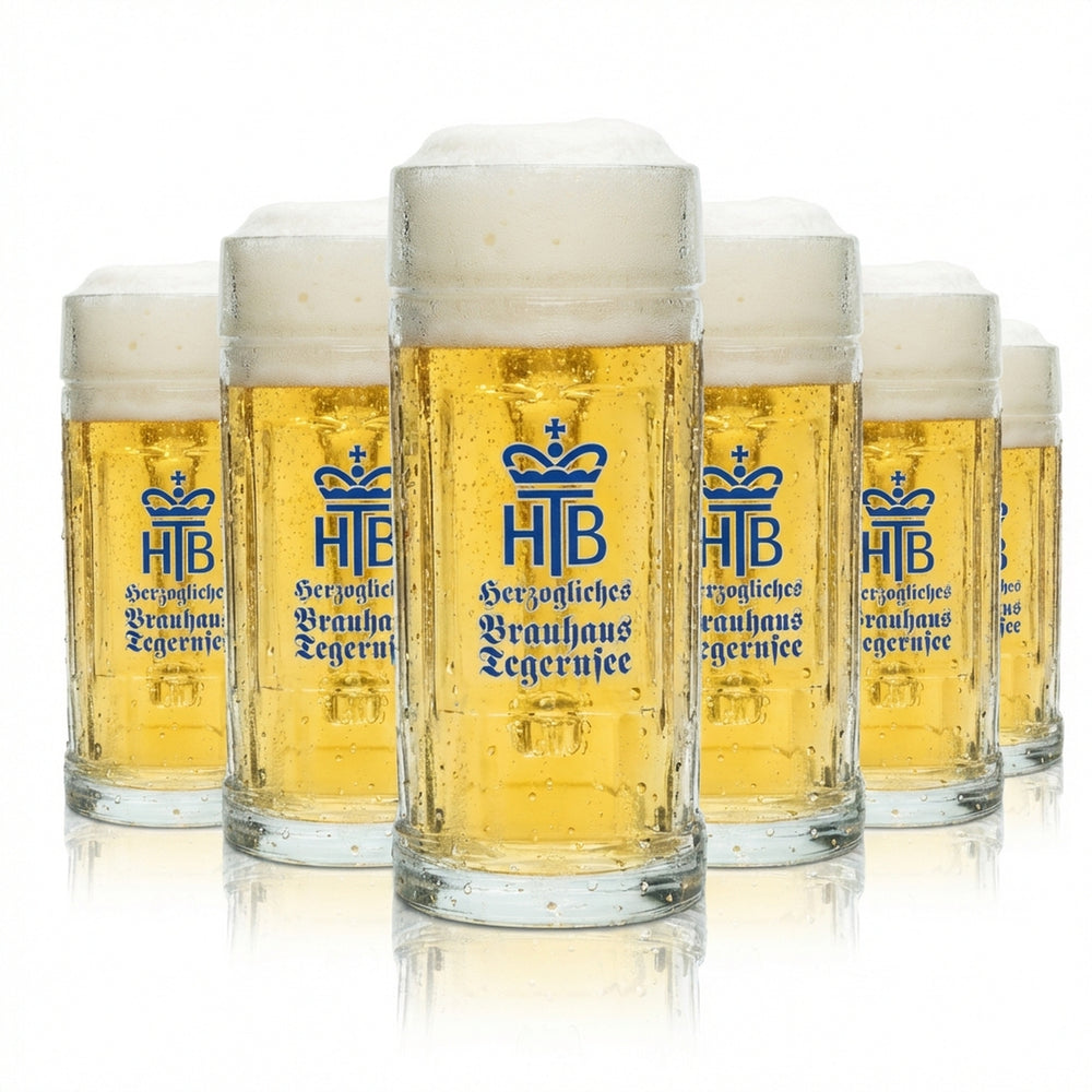 6x Tegernsee Bier Glas 0,3l Krug HB Seidel Gläser Henkel Krüge Humpen Relief