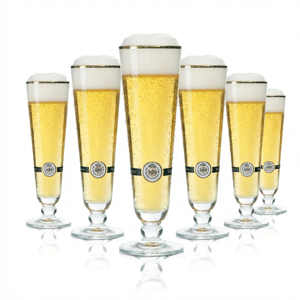6x Warsteiner Bier Glas 0,2l Pokal Goldrand Pils Gläser Tulpe Stange Beer Brew
