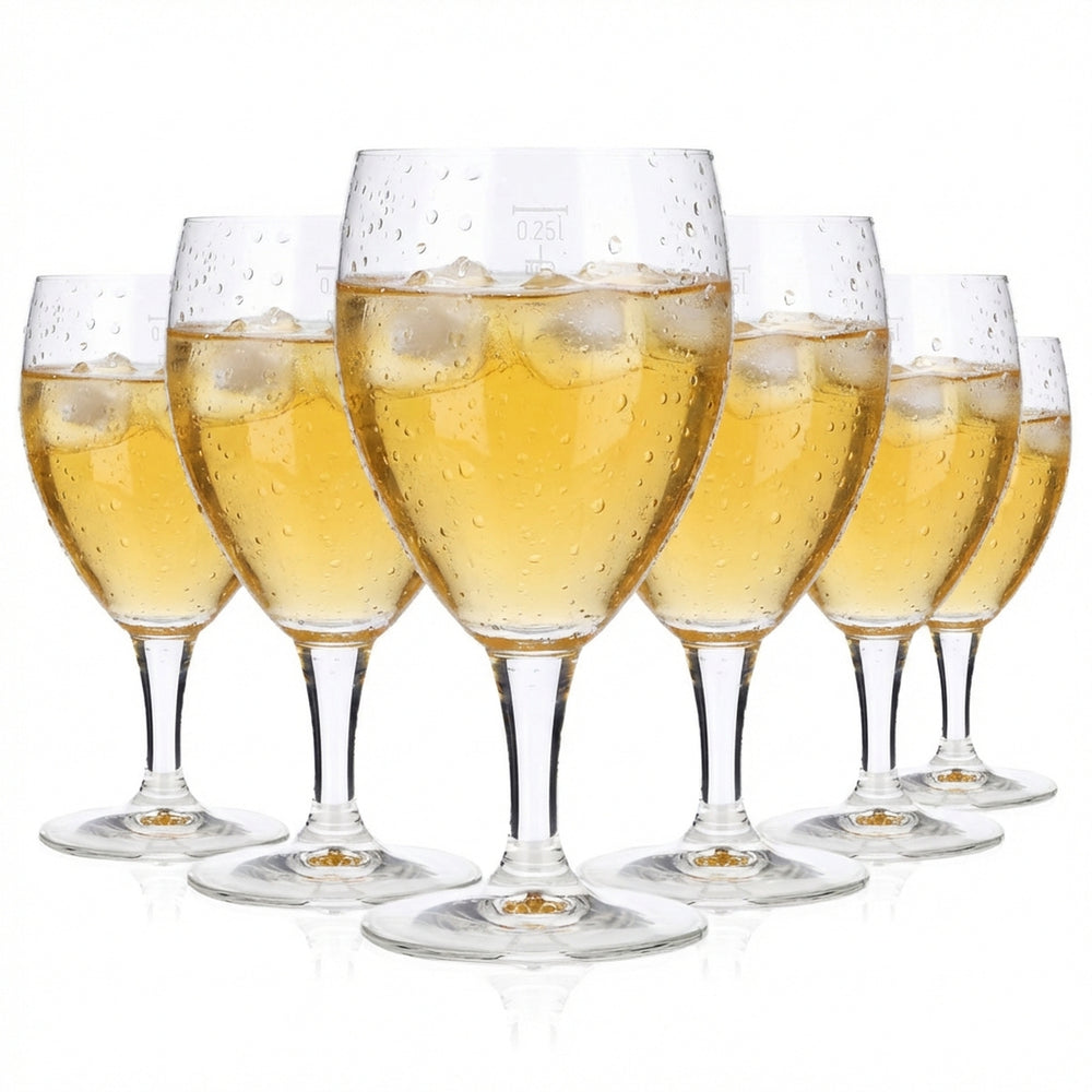 6x Wasser Glas Wassergläser Softdrinkgläser 0,25l Kelch Castel