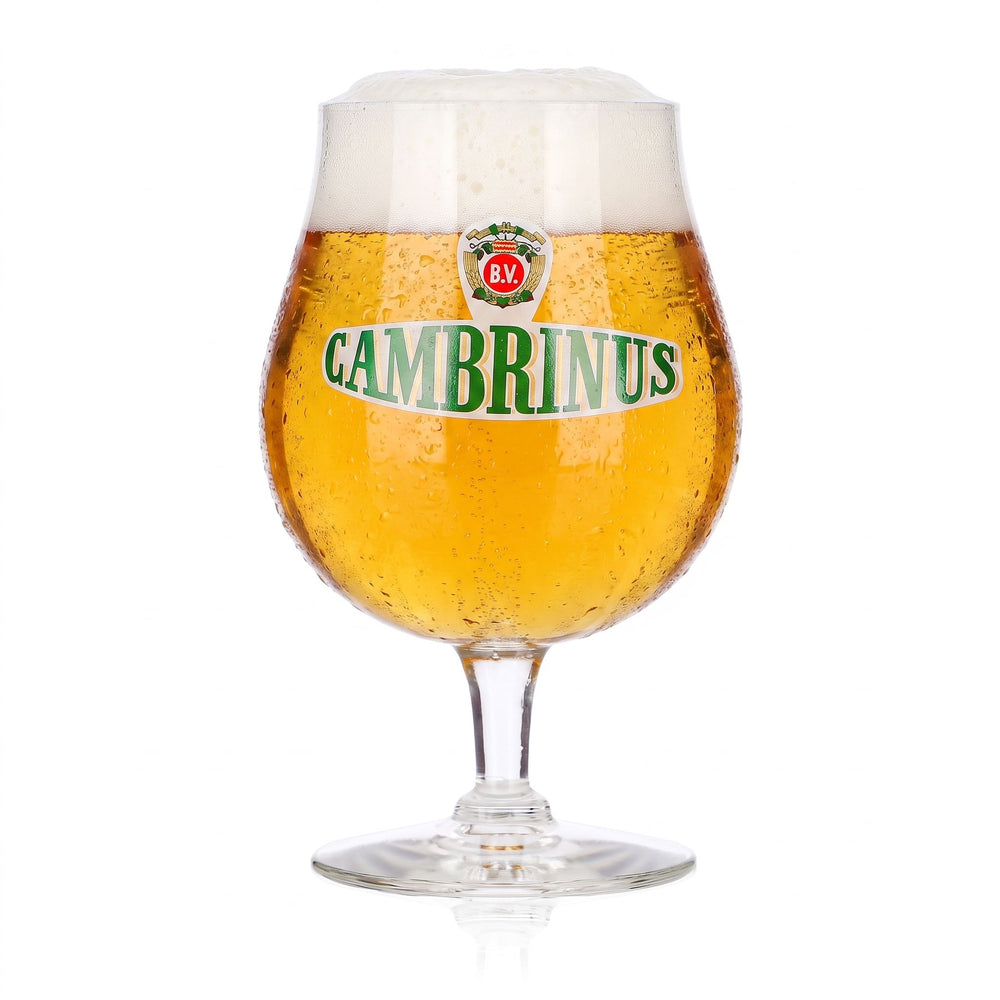 Cambrinus Bier Glas 0,32l Pokal Tulpe Durobor