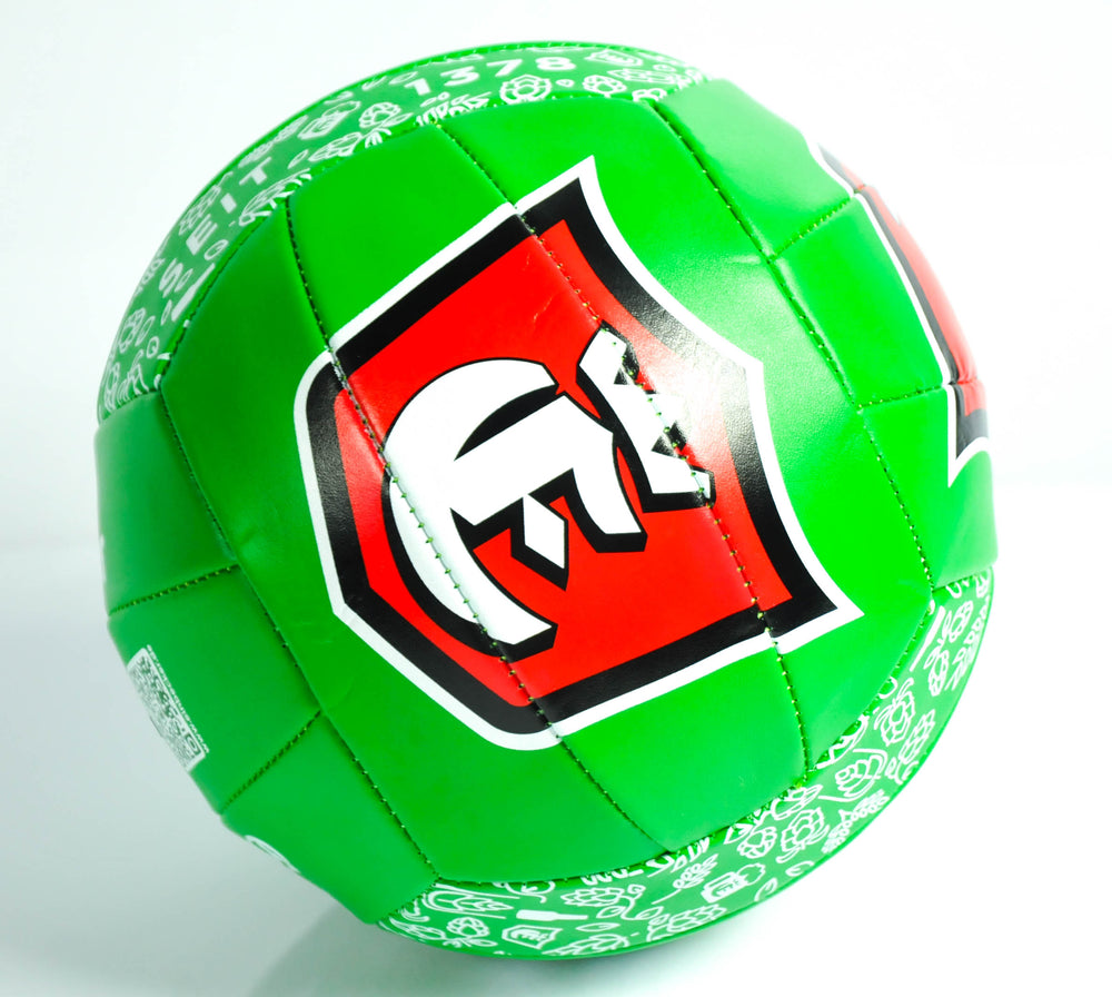 Einbecker Bier Ball Strand Volleyball Beachball Fußball grüne Ausf. Gr.5