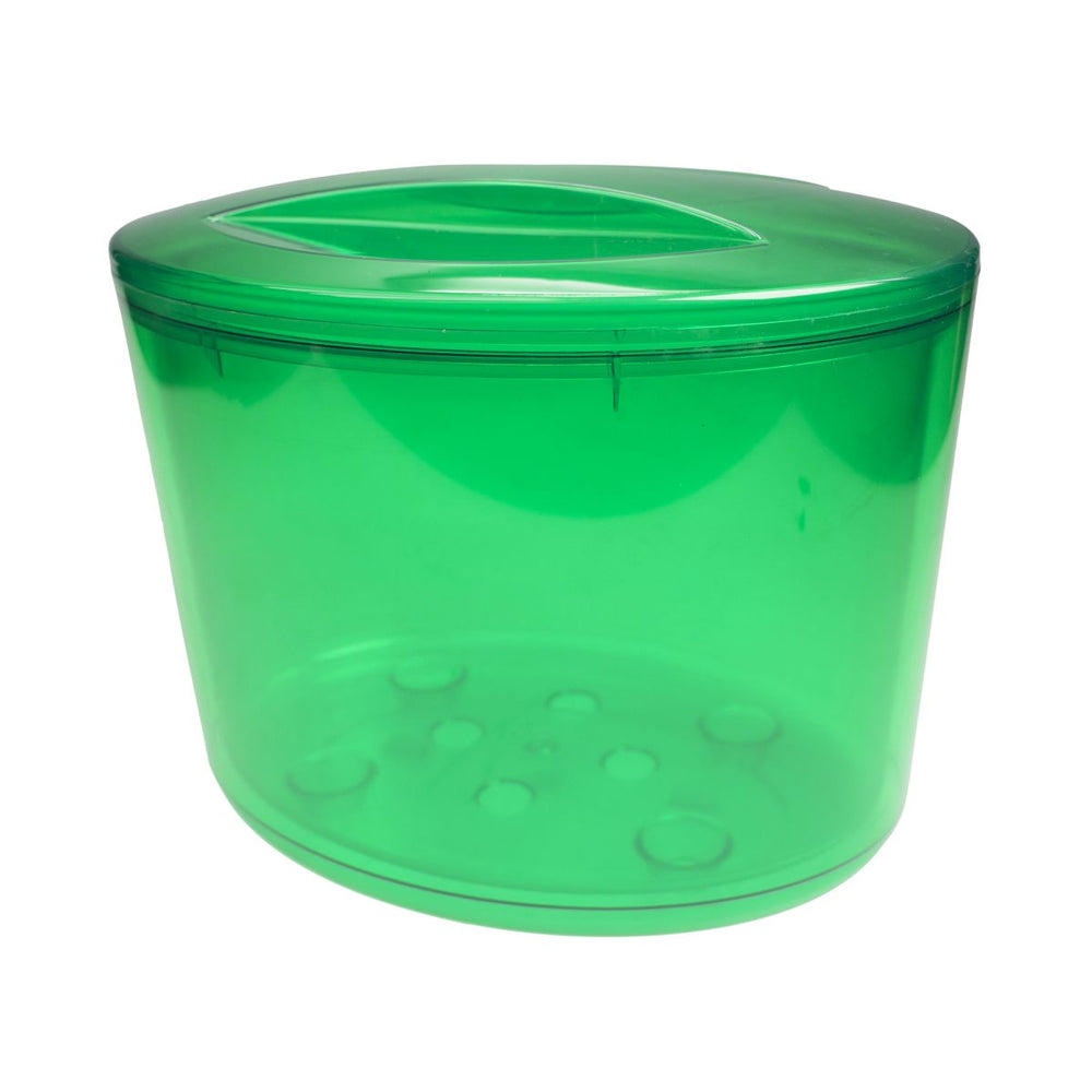 Kühler Flaschenkühler Eisbehälter Grün mit Deckel Getränkekühler Eisbox