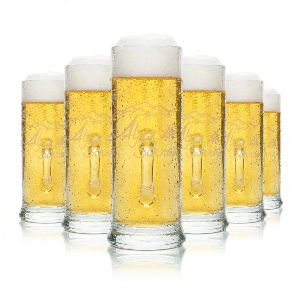 6x Alpenschnaps Steinbeisser Shot Glas 4cl Mini-Krug Das Elegante Henkel Gläser