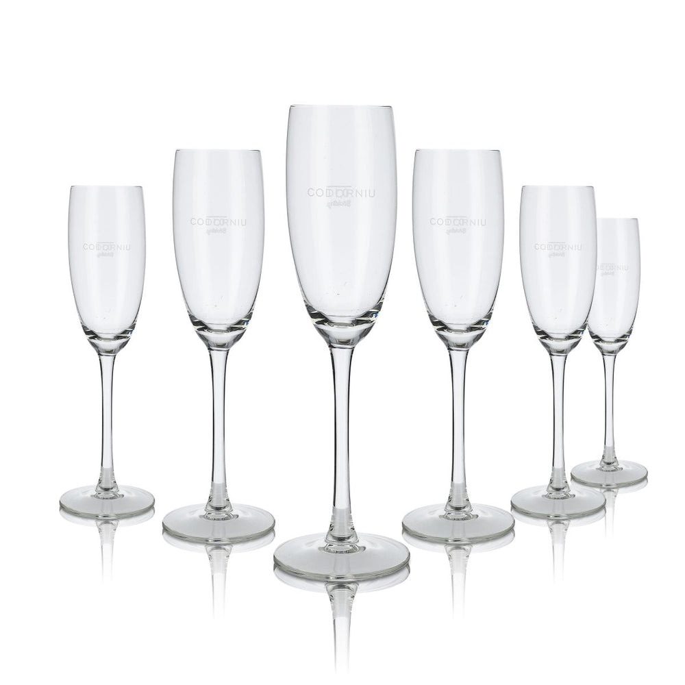 6x Codorniu Sektglas Champagnerglas Gläser 0,1l leichte Ausführung