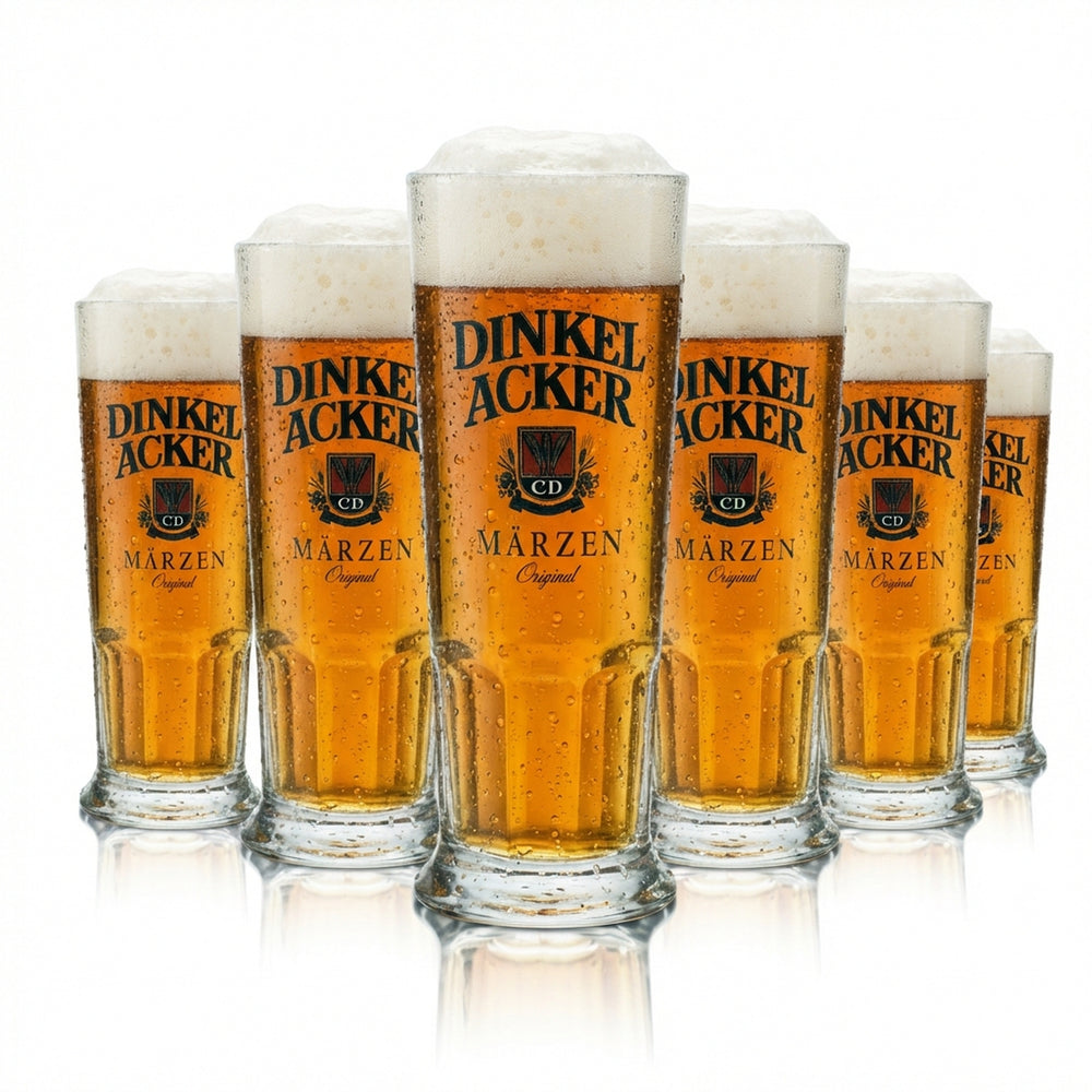 6x Dinkel Acker Bier Glas 0,25l Krug Märzen Habsburg Sahm Seidel Henkel Gläser