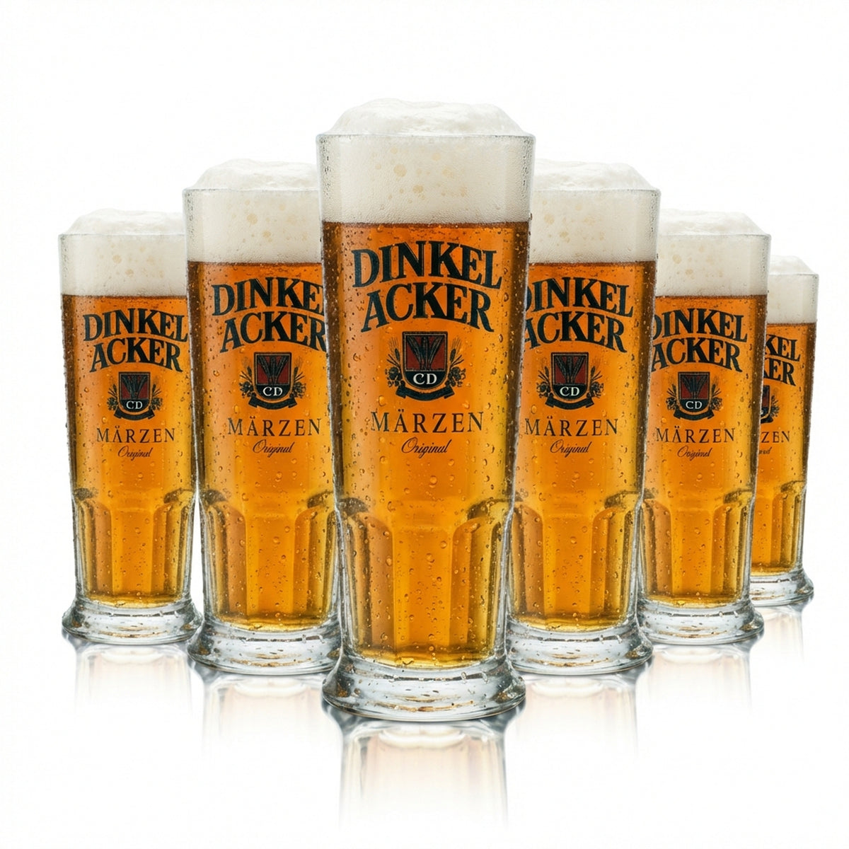 6x Dinkel Acker Bier Glas 0,25l Krug Märzen Habsburg Sahm Seidel Henkel Gläser