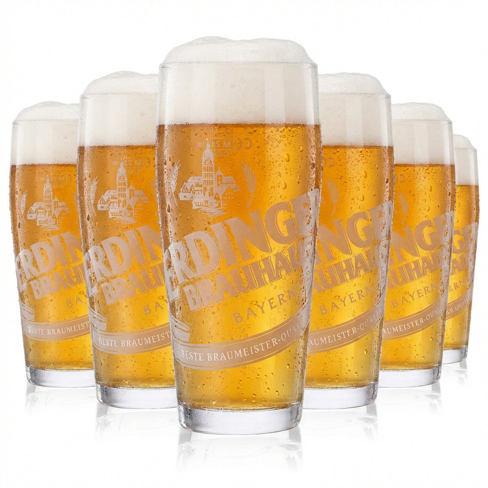 6x Erdinger Glas 0,3l Brauhaus Bier Willibecher Becher Gläser Bierglas Weissbräu