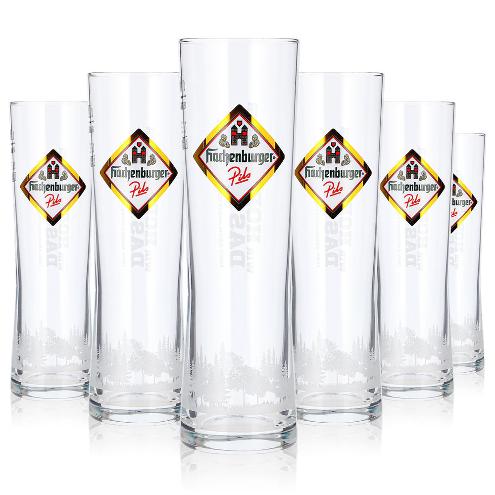 6x Hachenburger Bier Glas 0,2l longdrink Pils Rastal Goldenes Logo (6er Set)