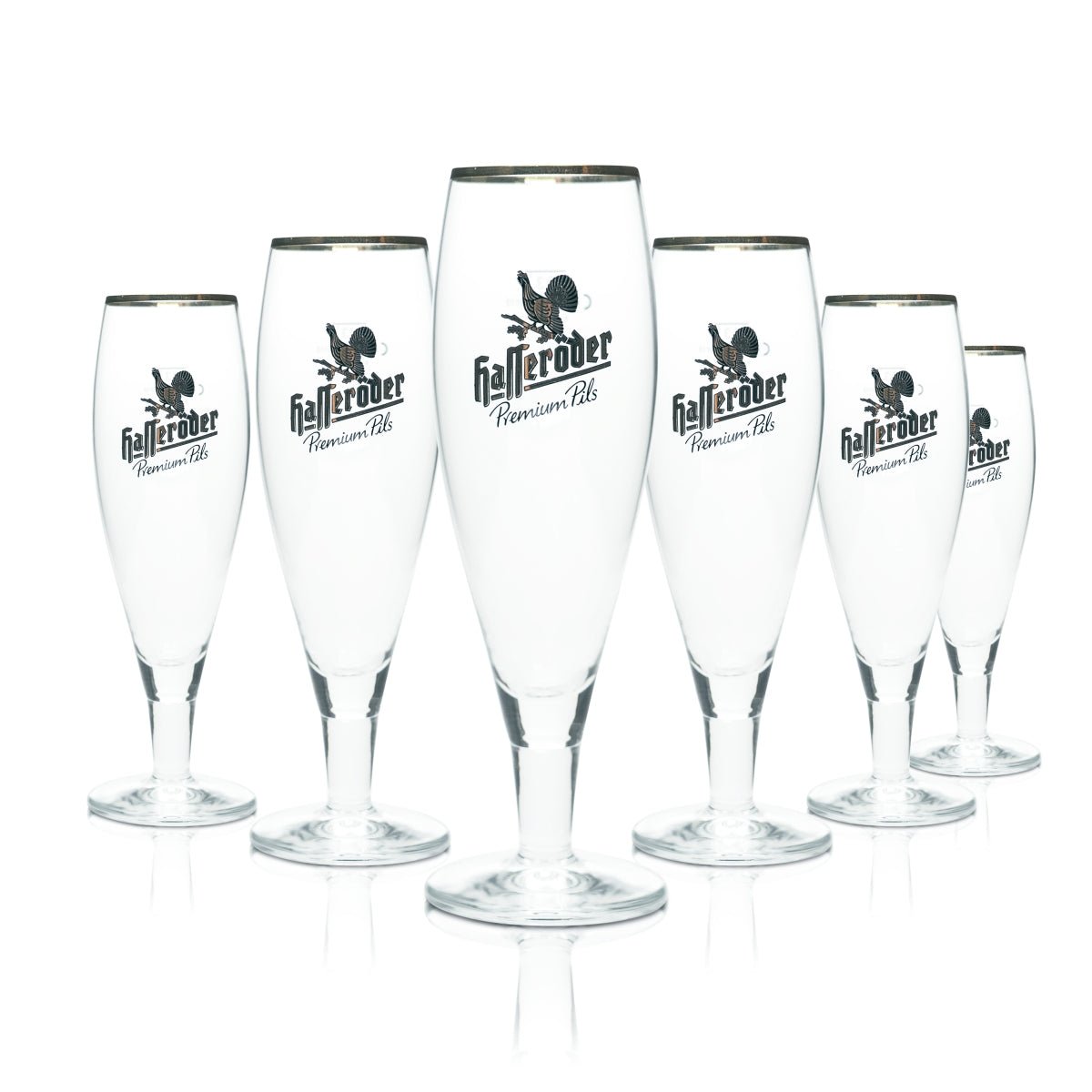 6x Hasseröder Bier Glas 0,3l Pokal Tulpe Kelch Allegro Goldrand Gläser Gastro