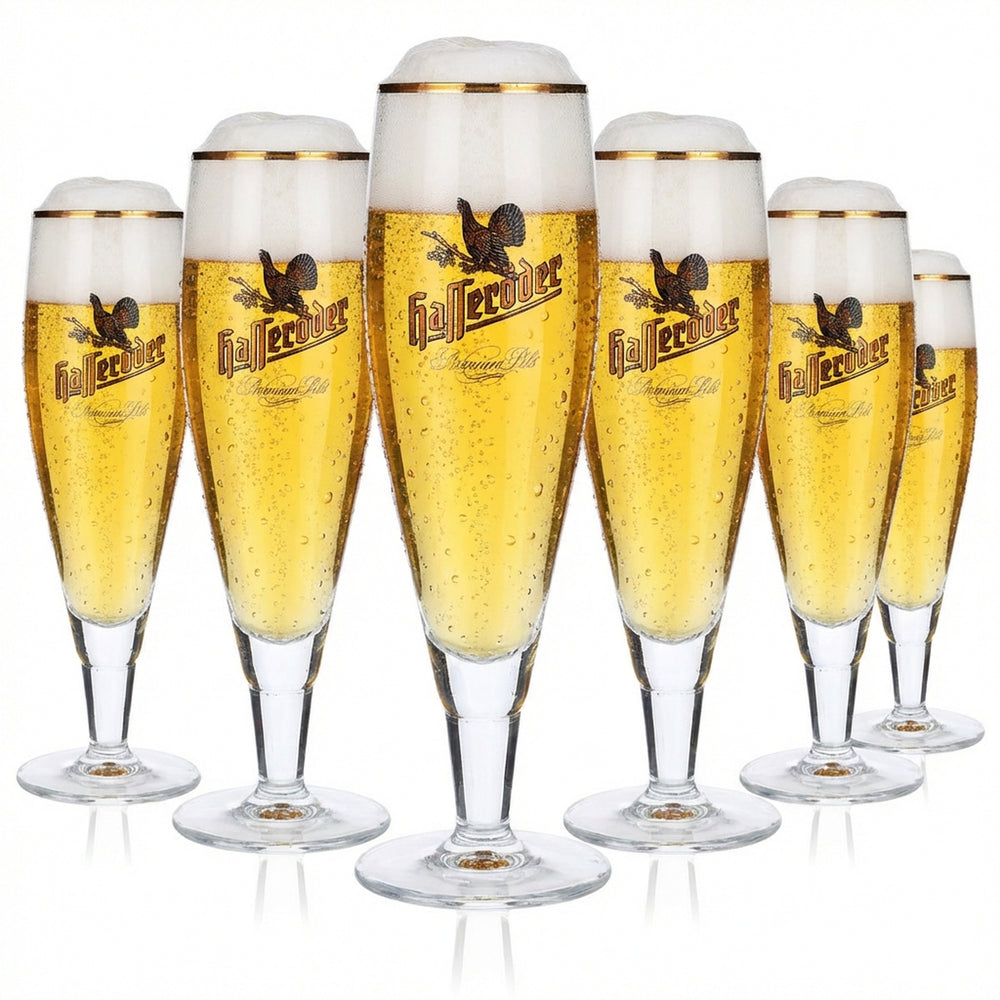 6x Hasseröder Bier Glas Pokalgläser 0,2l Goldrand Alegro Pokal lang Ritzenhoff