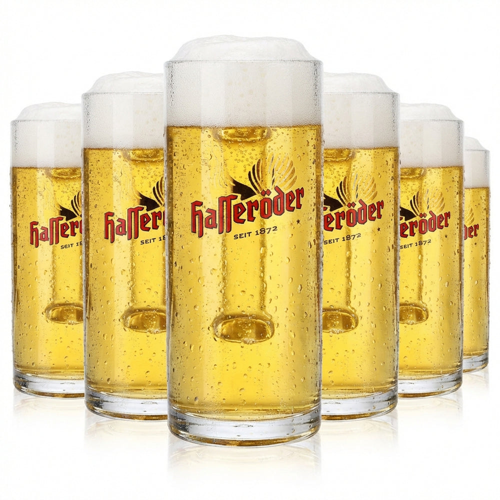 6x Hasseröder Bierglas Bierseidel Gläser Humpen 0,3l Krug Reno