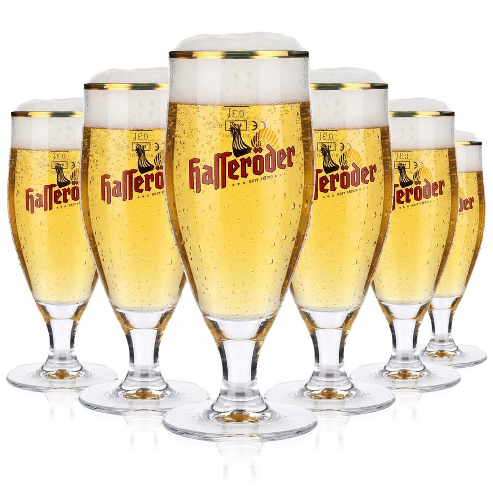 6x Hasseröder Bierglas Gläser Glas Biergläser 0,3l Pokal Goldrand Ritzenhoff