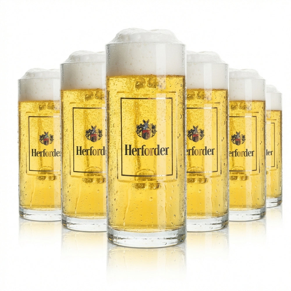6x Herforder Pils Bier Glas 0,5l Krug Wallenstein Sahm Seidel Henkel Gläser Beer
