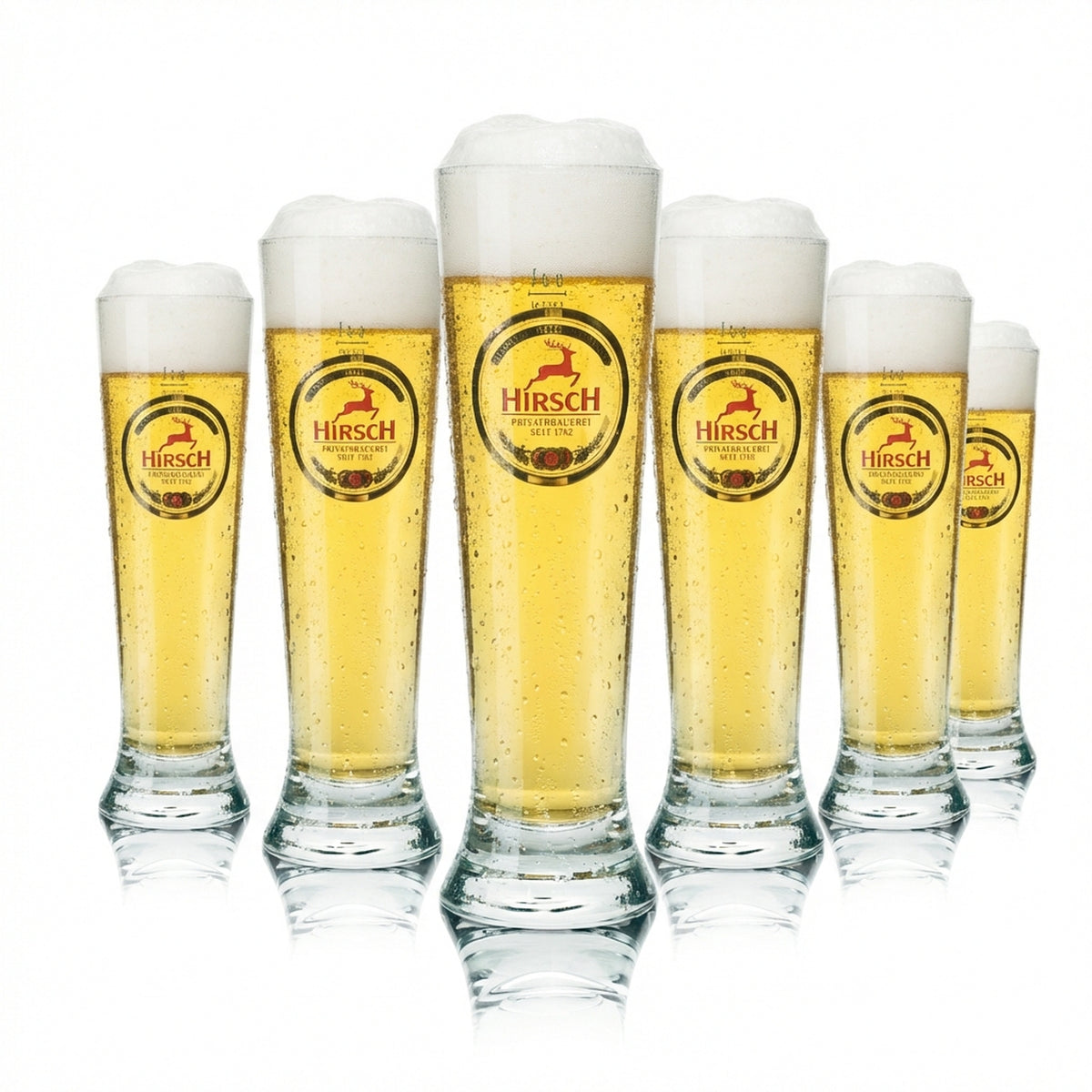 6x Hirsch Bräu Bier Glas 0,3l Pokal Rastal Tulpe Gläser Willi Becher Brauerei