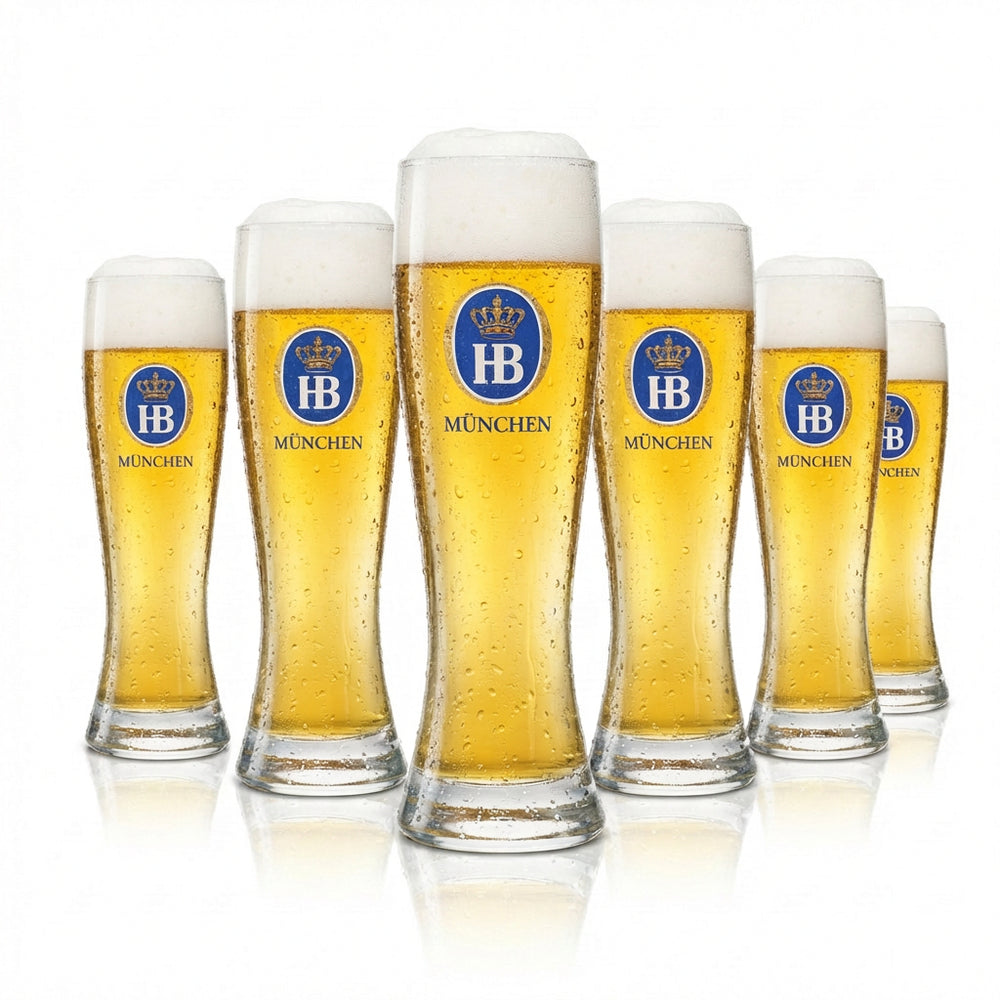 6x Hofbräu München Bier Glas 0,3l Weißbier Sahm HB Weizen Gläser Hefe Beer