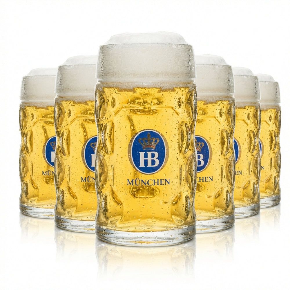 6x Hofbräu München Bier Glas 0,5l Krug Isar-Seidel