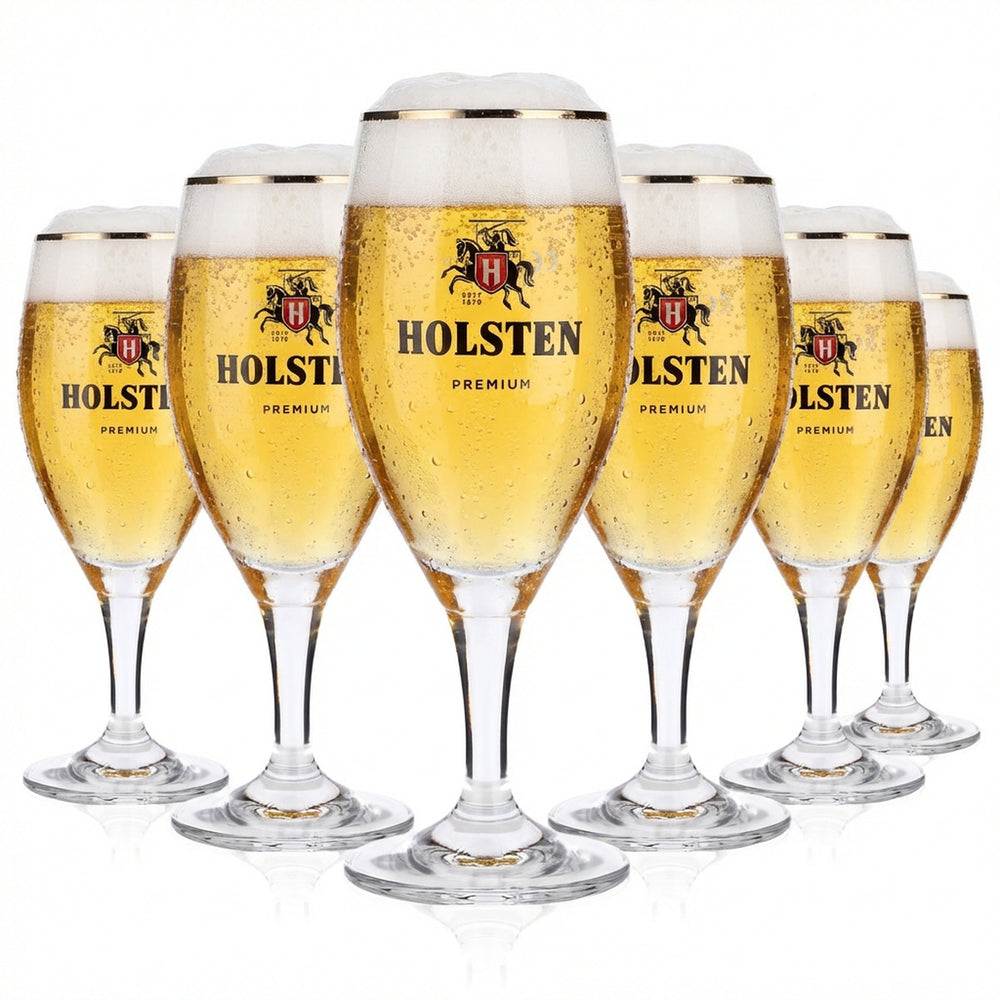 6x Holsten Bier Glas 0,2l Premium Pokal Gläser Platinrand Tulpe Gastro Geeicht