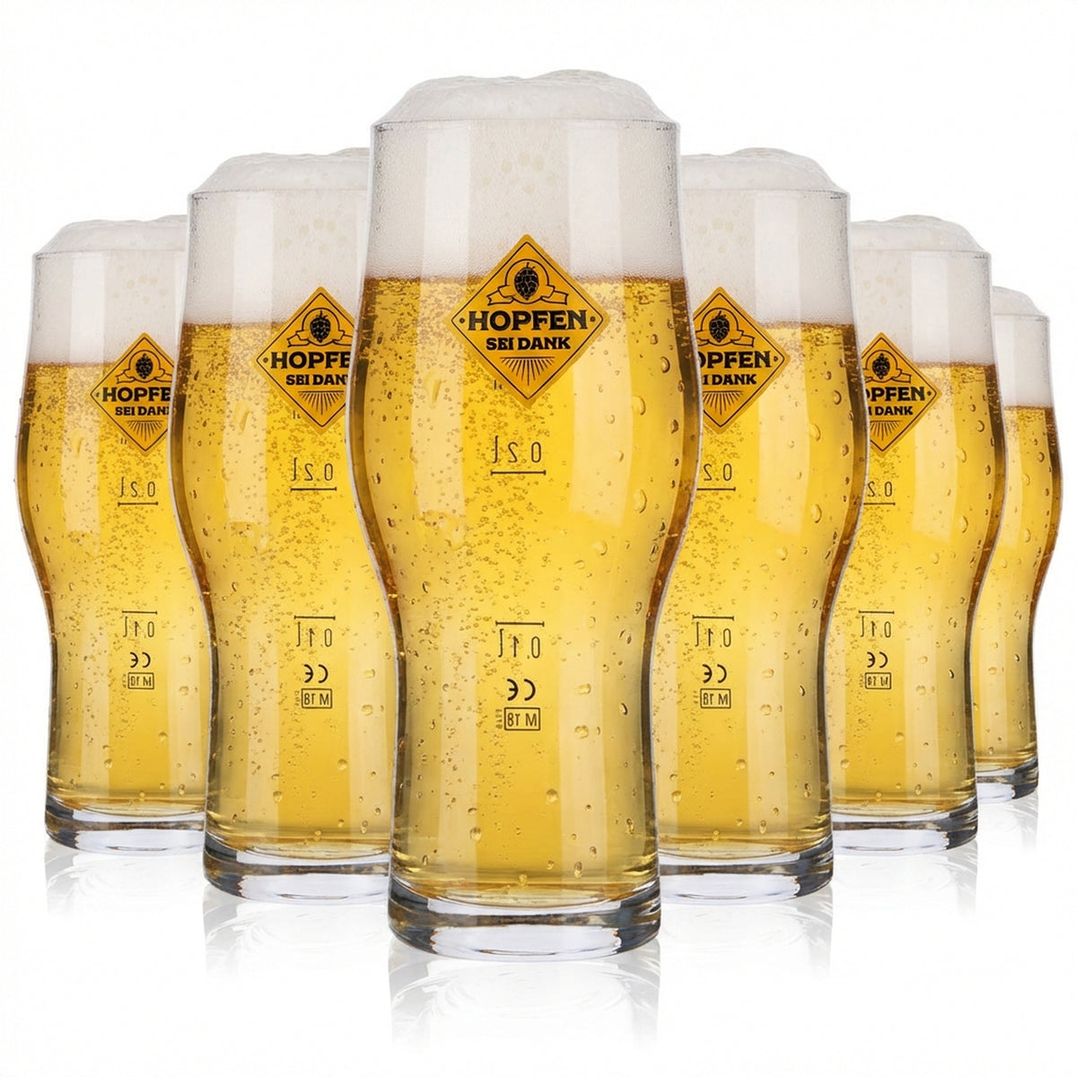 6x Hopfen sei Dank Bier Glas 0,3l Tumbler Biergläser Craft Master Two